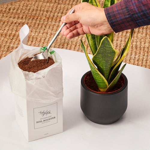 Generosa Soil Booster Organic Fertilizer - Natural Soil Enhancer for