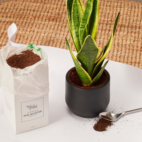 Generosa Soil Booster Organic Fertilizer - Natural Soil Enhancer for