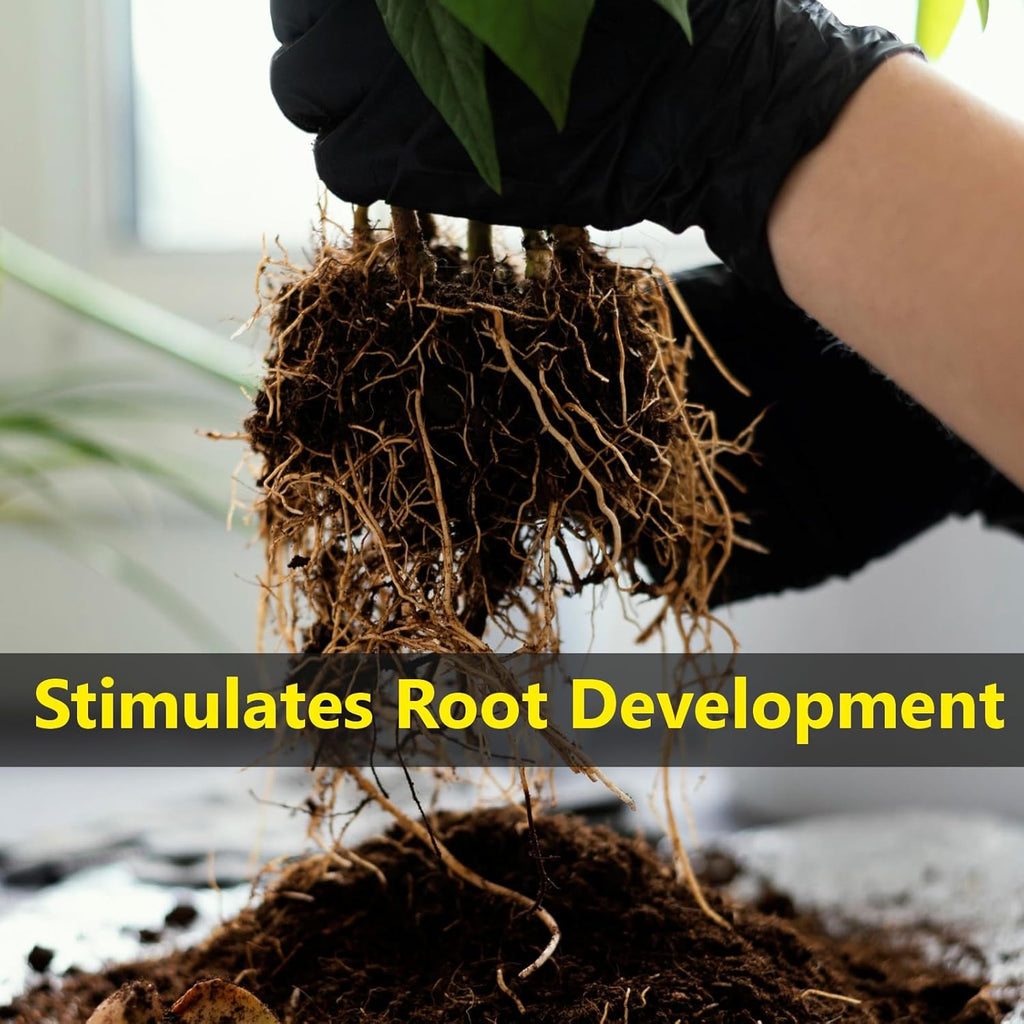 plant booster