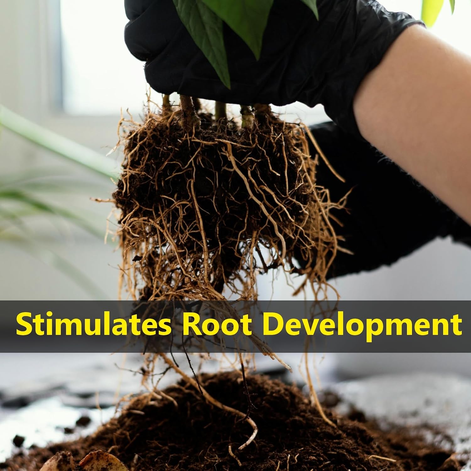 plant booster