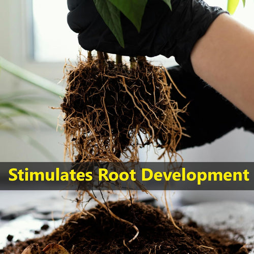 plant booster