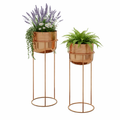 Garden Flower Pot for Home Use